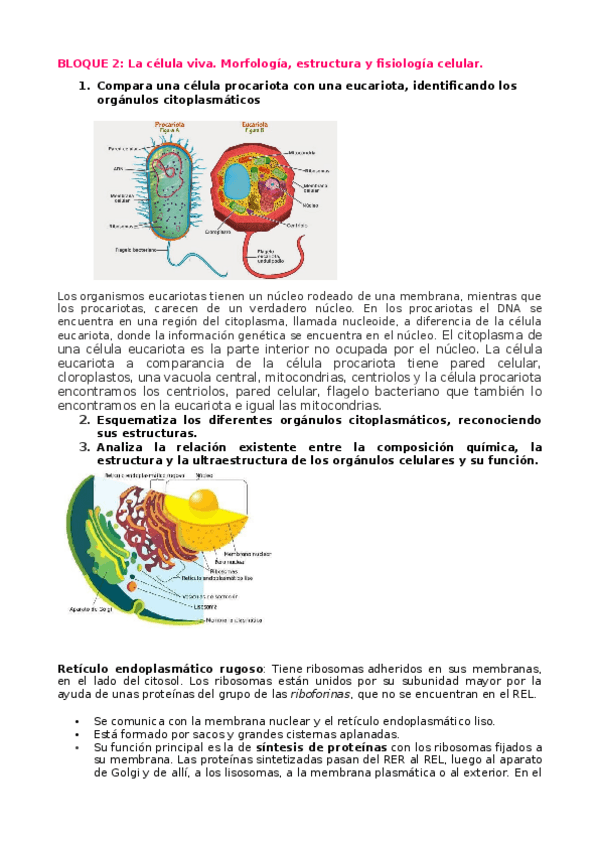 Miniatura del documento BIOLOGIA.docx