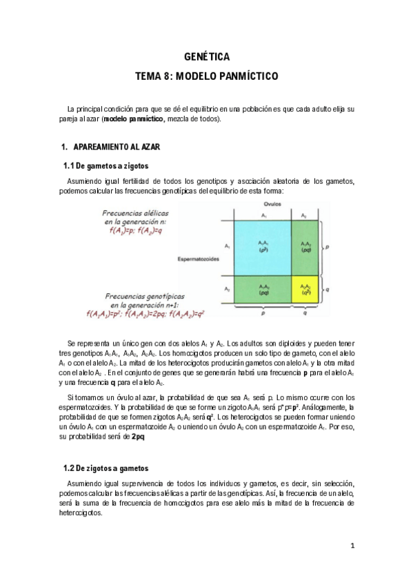Miniatura del documento Tema-8-Modelo-Panmictico.pdf