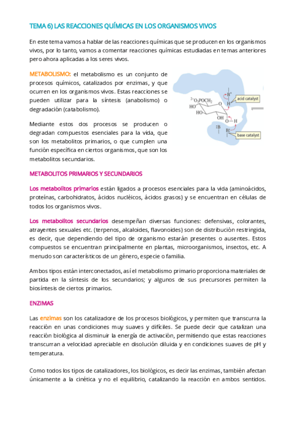 Miniatura del documento TEMA-6-QUIMICA.pdf