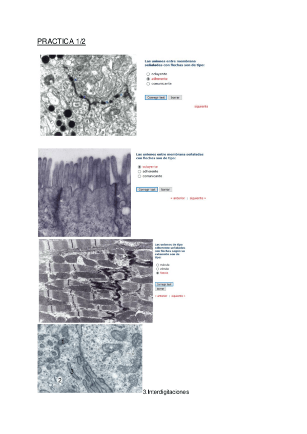 Miniatura del documento Atlas-interactivo.pdf
