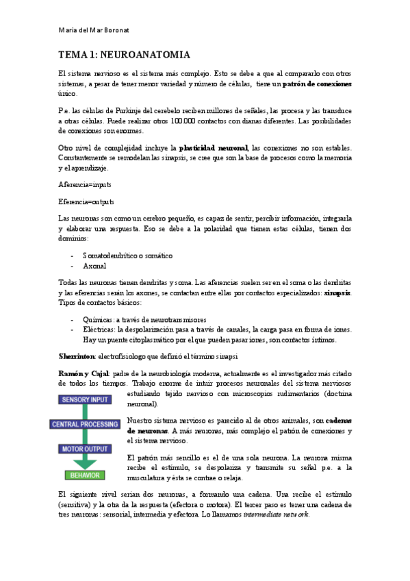 Miniatura del documento Neuro-PART-1.pdf