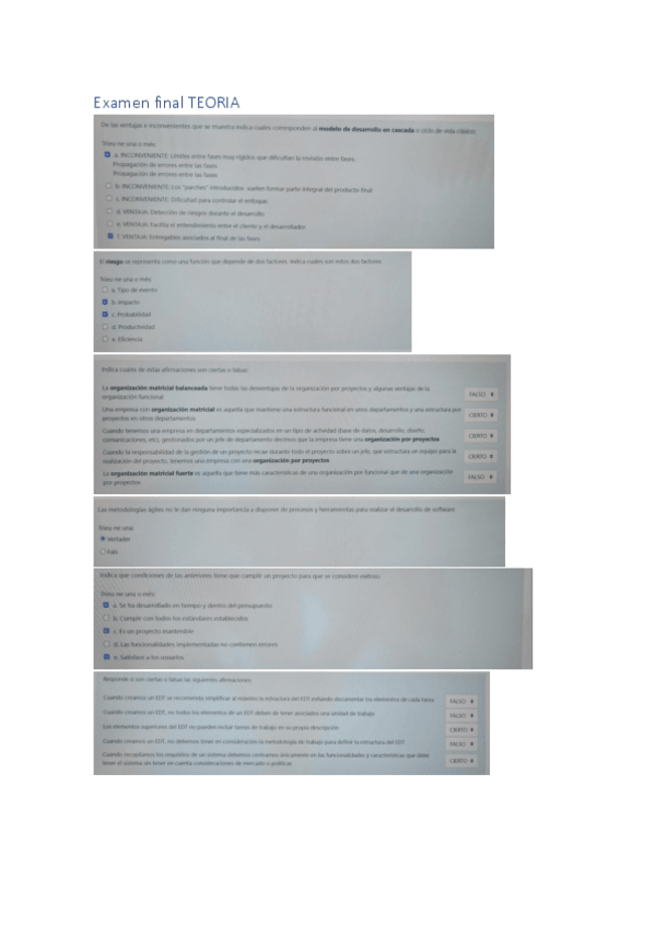 Miniatura del documento EXAMEN-FINAL-TEORIA.pdf