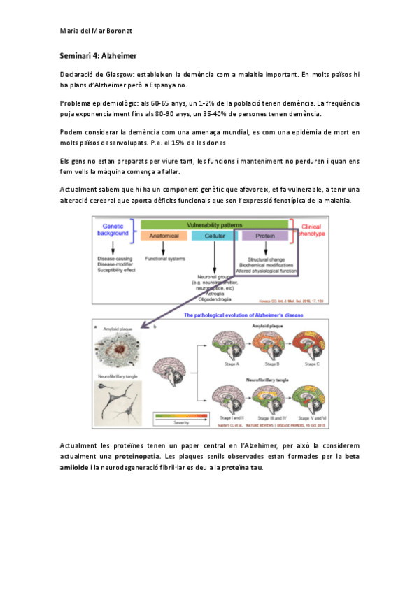 Miniatura del documento Seminari-4Alzheimer.pdf