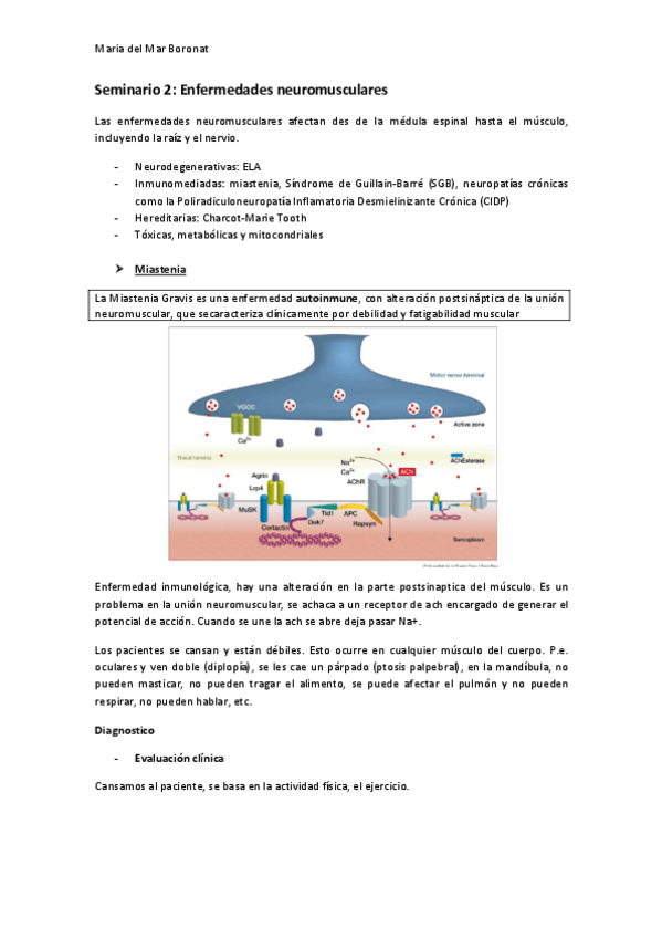 Miniatura del documento Seminari-2Enfermedades-neuromusculares.pdf