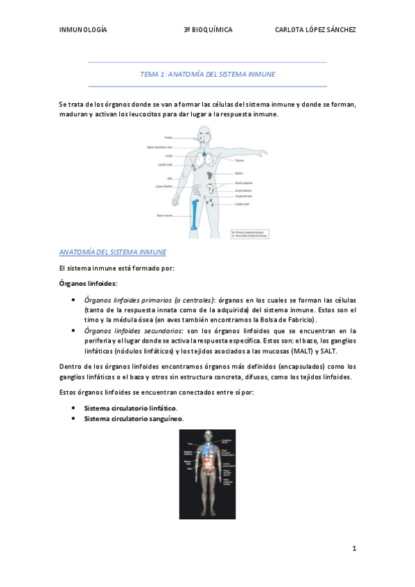 Miniatura del documento Tema-1-Inmuno.pdf