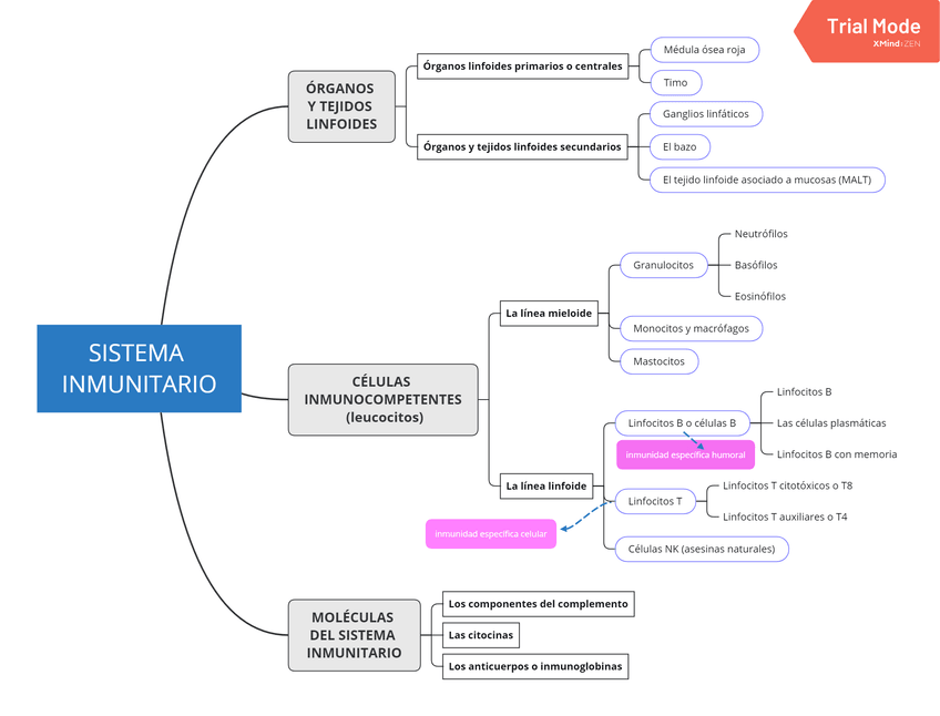 Miniatura del documento SISTEMA-INMUNITARIO.png