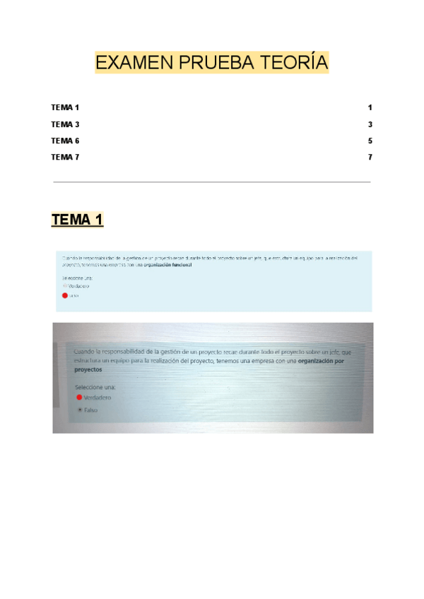 Miniatura del documento TEORIA-GP-EXAMEN-PRUEBA.pdf