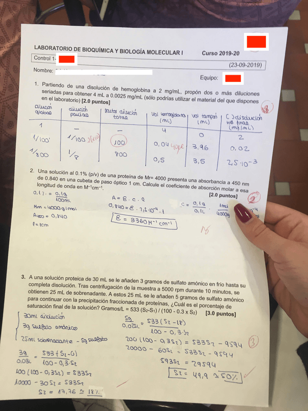 Miniatura del documento IMG6333.jpg