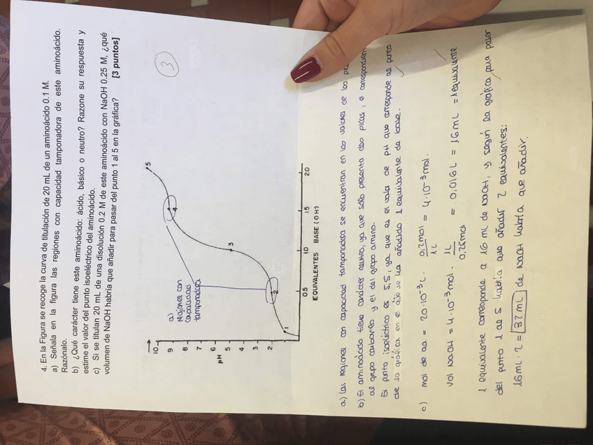 Miniatura del documento IMG6334.jpg