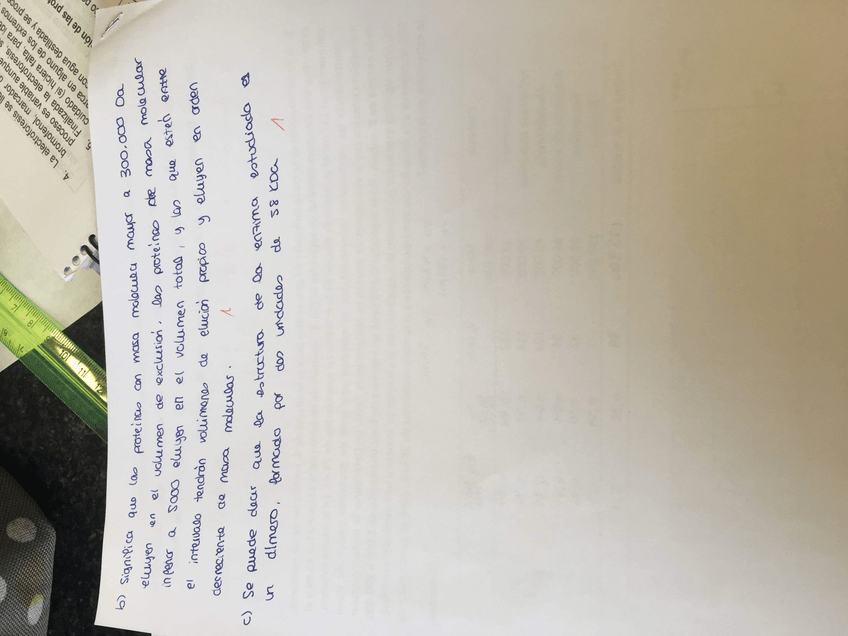 Miniatura del documento IMG6569.jpg