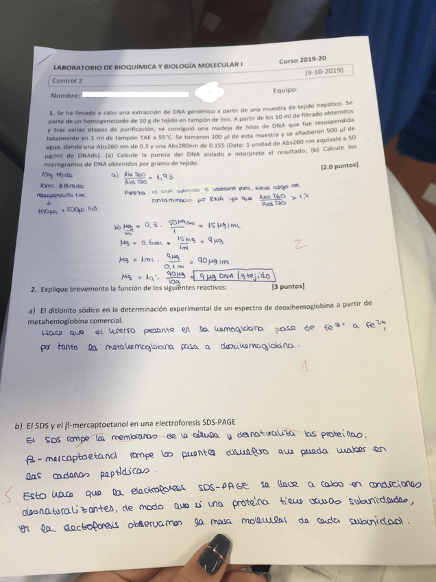 Miniatura del documento IMG6567.jpg