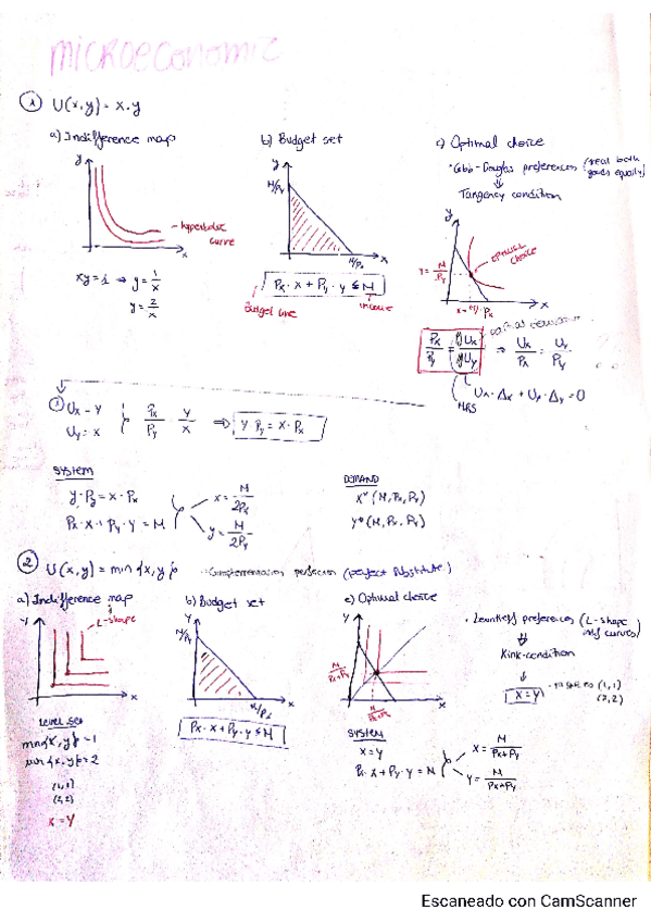 Miniatura del documento apuntes-micro.pdf
