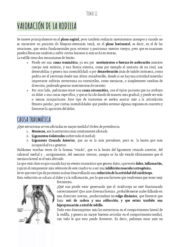 Miniatura del documento VALORACION-IBAI-T11-VALORACION-RODILLA-.pdf