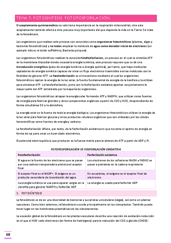 Miniatura del documento Tema-5.pdf