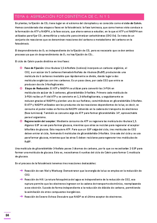 Miniatura del documento Tema-6.pdf