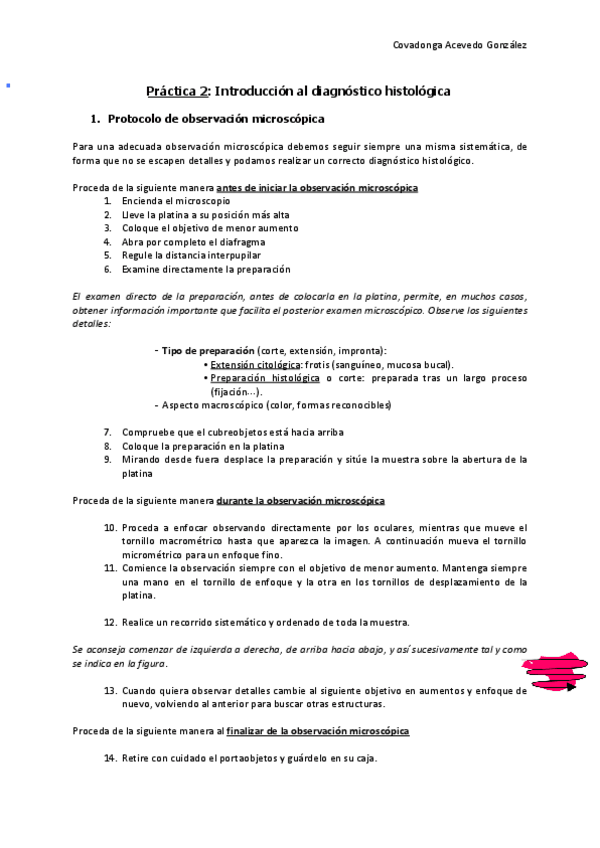 Miniatura del documento PRACTICA-2-HISTOLOGIA.pdf