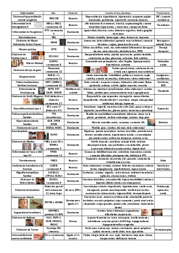Miniatura del documento CASOS-CLINICOS.pdf