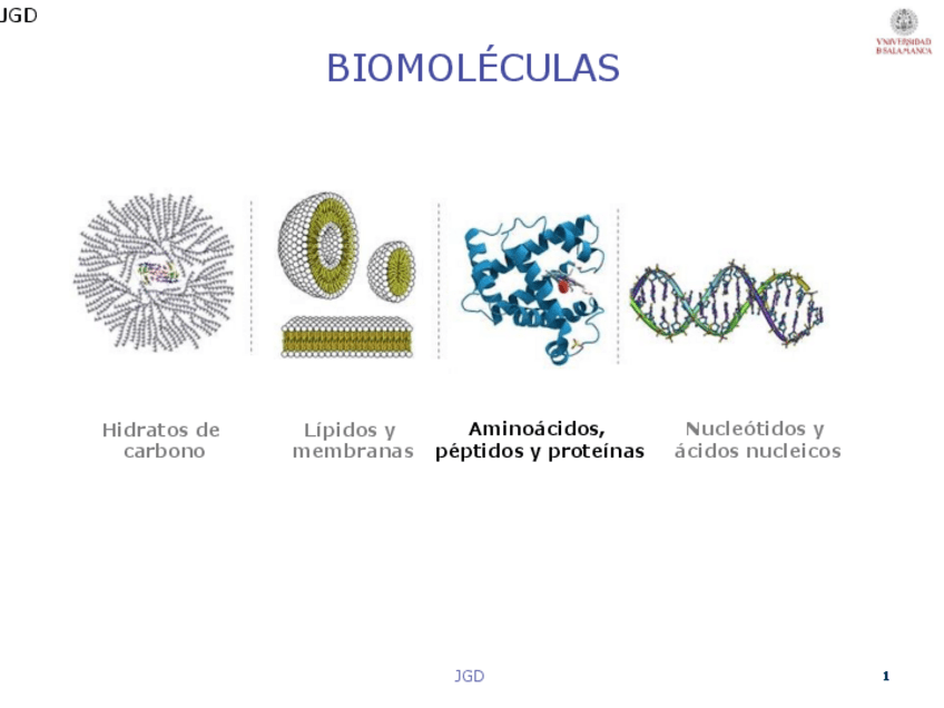 Miniatura del documento Prot1IQ19.pdf