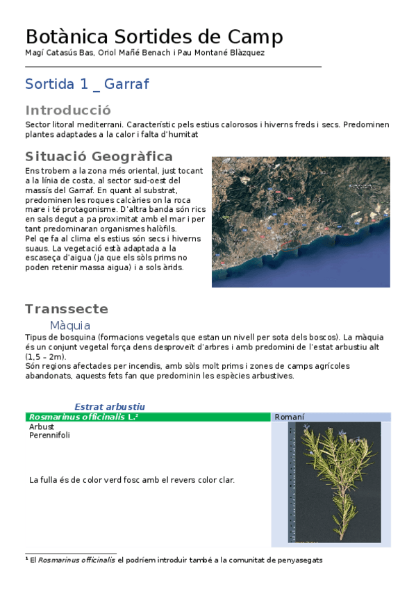 Miniatura del documento Treball-sortides-de-camp-1.docx