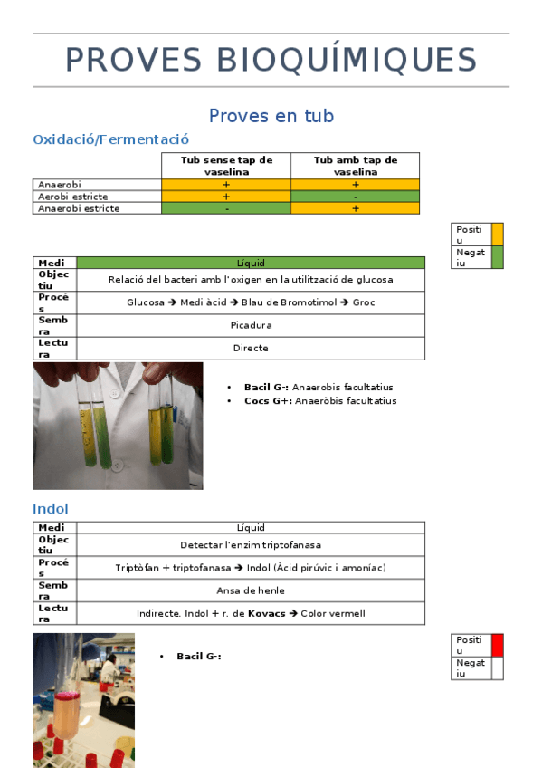 Miniatura del documento Practiques-de-microbiologia.docx