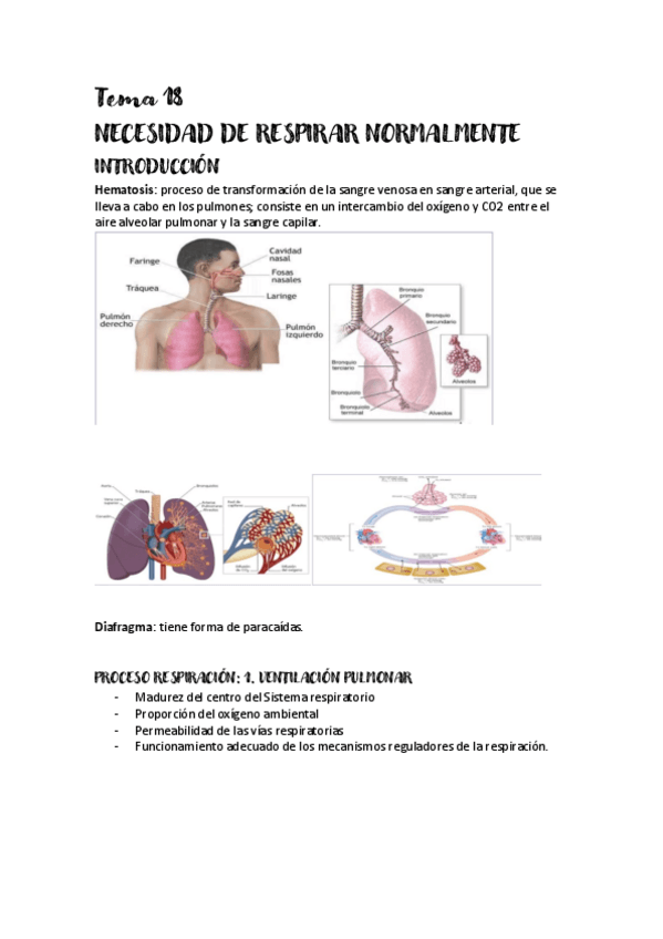 Miniatura del documento 2.pdf
