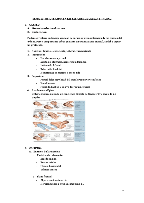 Miniatura del documento TEMA-10.pdf
