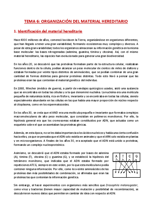 Miniatura del documento TEMA-6-Genetica.pdf