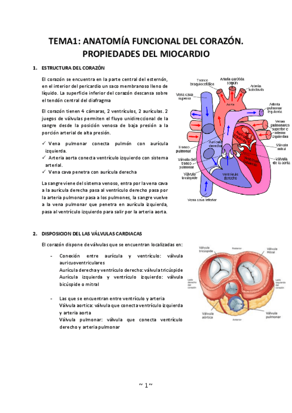 Miniatura del documento combinepdf.pdf
