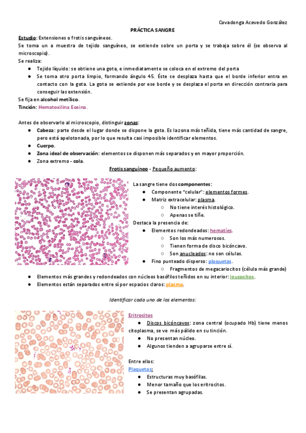 Miniatura del documento PRACTICA-6-SANGRE.pdf