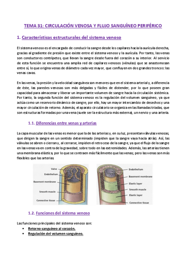 Miniatura del documento TEMA-31-Fisiologia.pdf