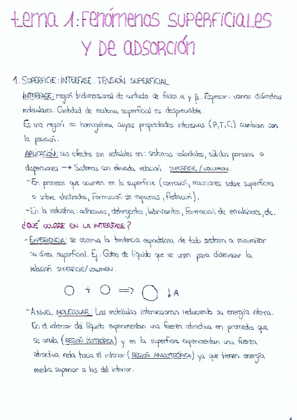 Miniatura del documento TEMA-1.pdf