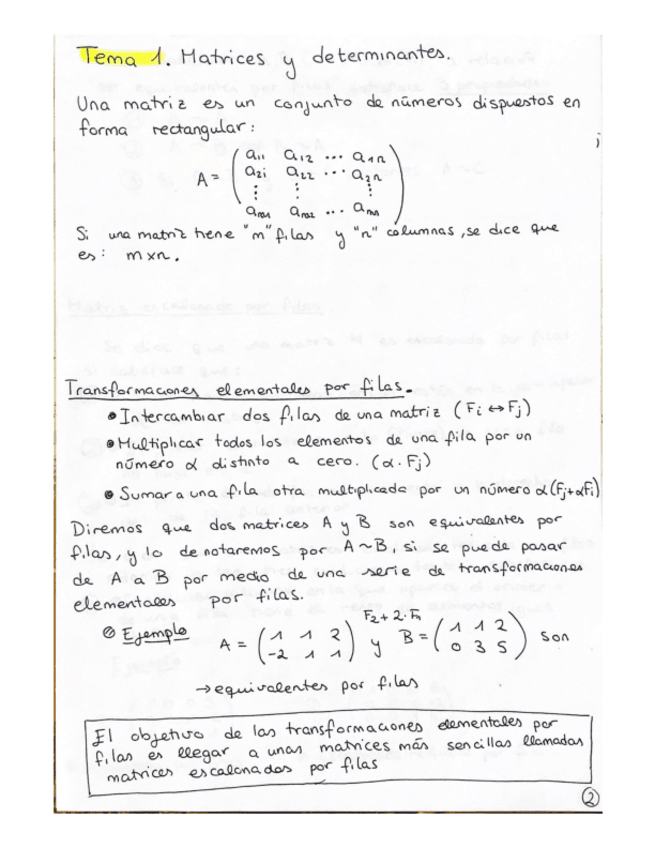 Miniatura del documento APUNTESMATRICESCONEJEMPLOS.pdf