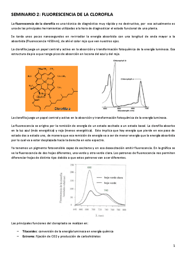 Miniatura del documento SEMINARIO-2.pdf