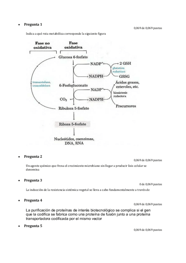 Miniatura del documento Examen-BiotecMicrobiana-2020.pdf