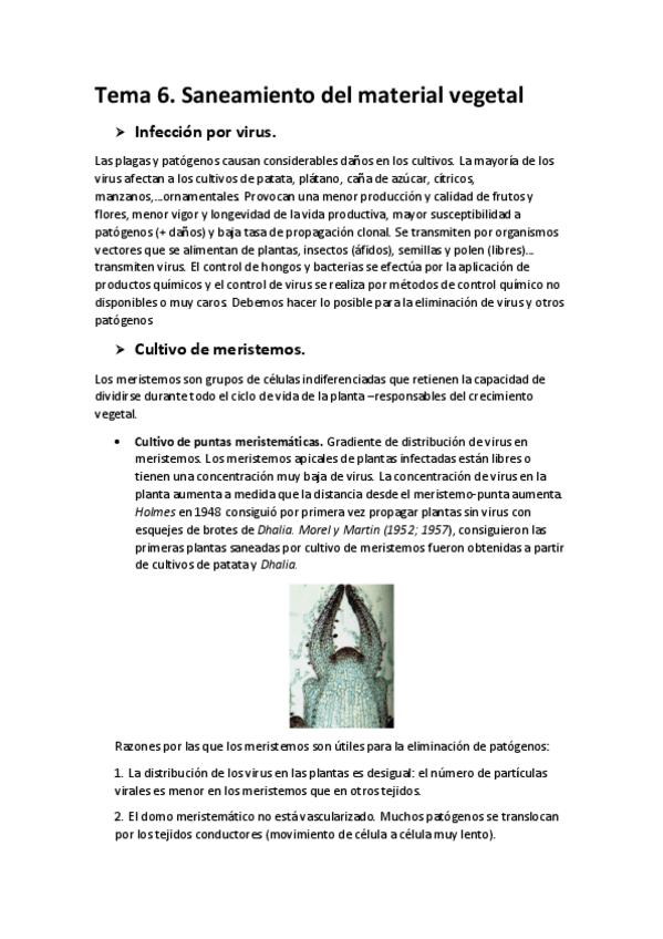 Miniatura del documento Tema-6-biotec-vegetal.pdf