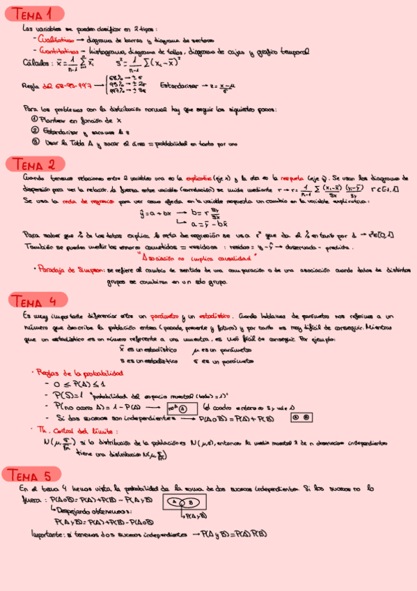 Miniatura del documento RESUMEN-FINAL.pdf