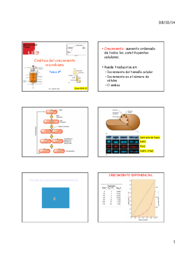Miniatura del documento Tema 4.pdf
