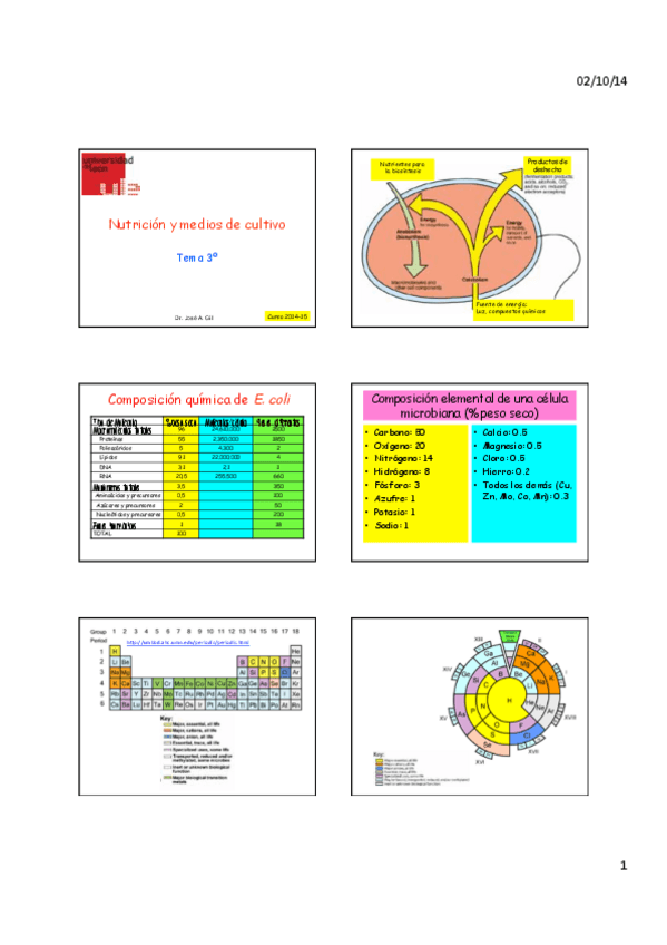 Miniatura del documento Tema 3.pdf