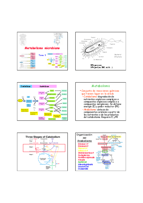 Miniatura del documento tema 5.pdf