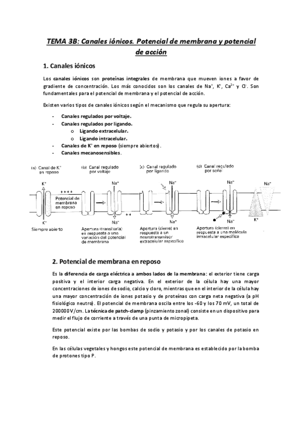 Miniatura del documento 3b.pdf