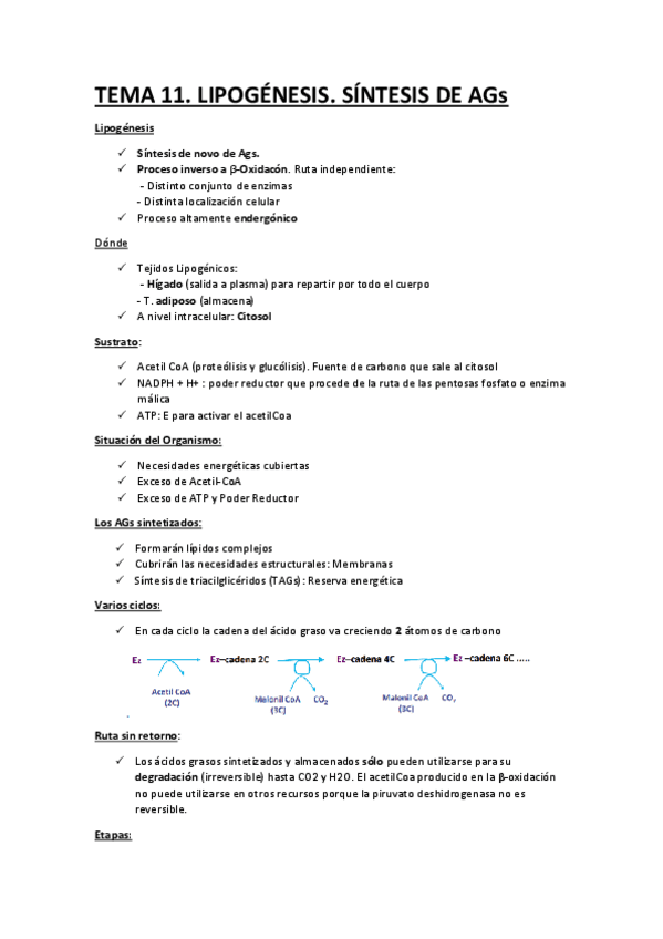 Miniatura del documento BQ-11.pdf