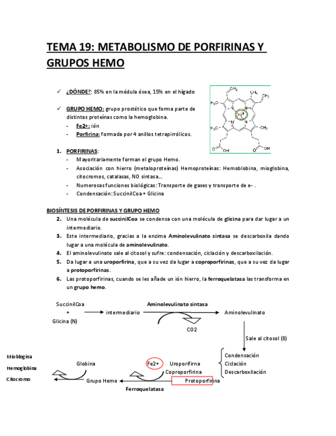 Miniatura del documento BQ-19.pdf
