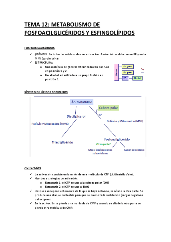 Miniatura del documento BQ-12.pdf