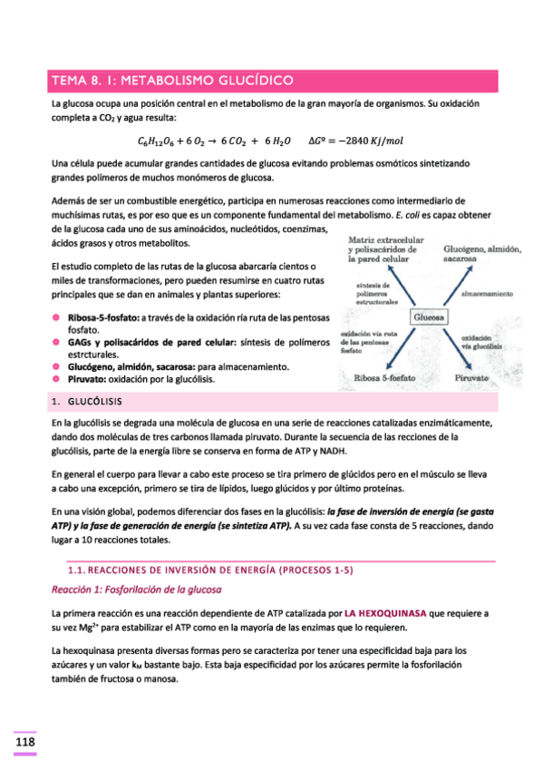Miniatura del documento Tema-8-arreglado.pdf