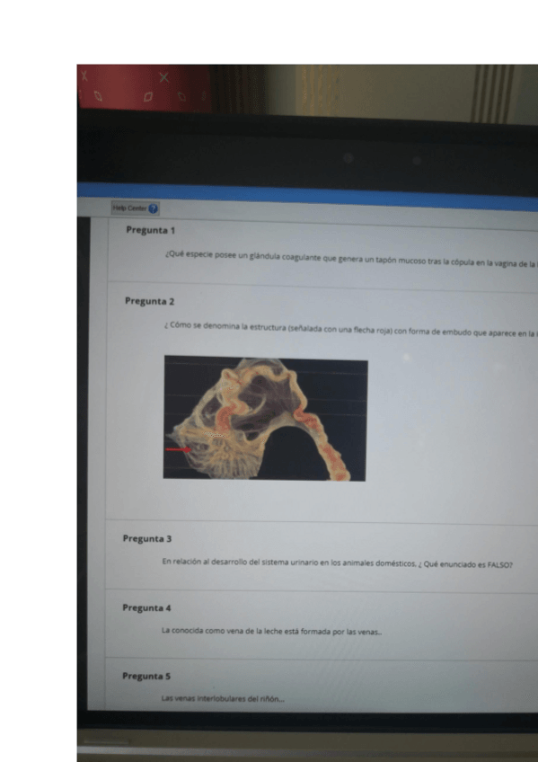 Miniatura del documento EXAMEN-SISTEMAS-2.pdf