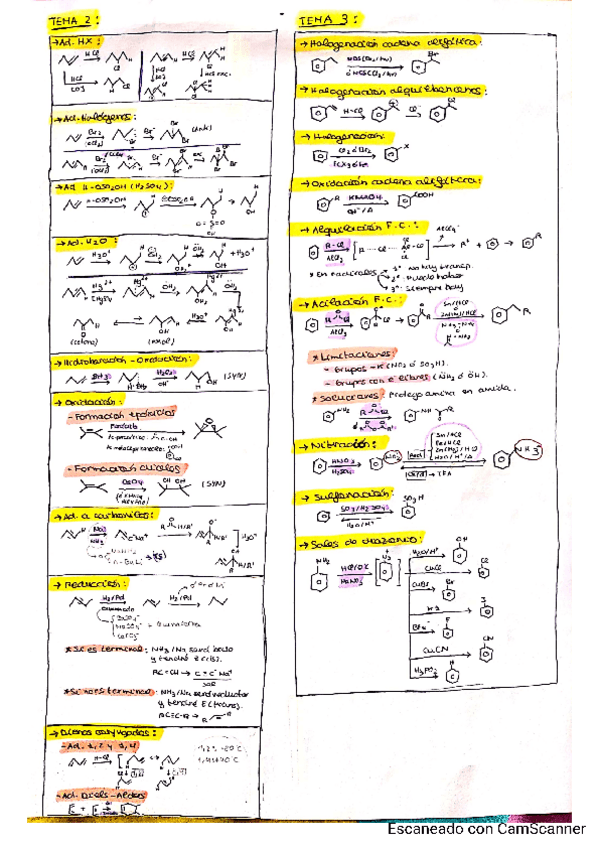 Miniatura del documento Esquemas-Reacciones-Organica.pdf