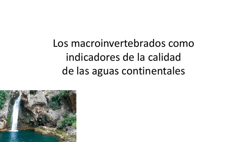 Miniatura del documento TEMA-10-Y-11-BFC.pdf