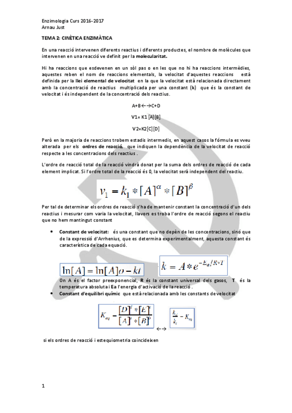 Miniatura del documento APUNTS 2.pdf