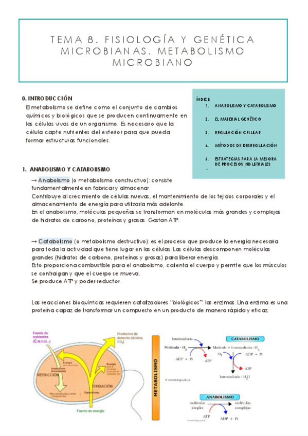 Miniatura del documento TEMA-8.pdf