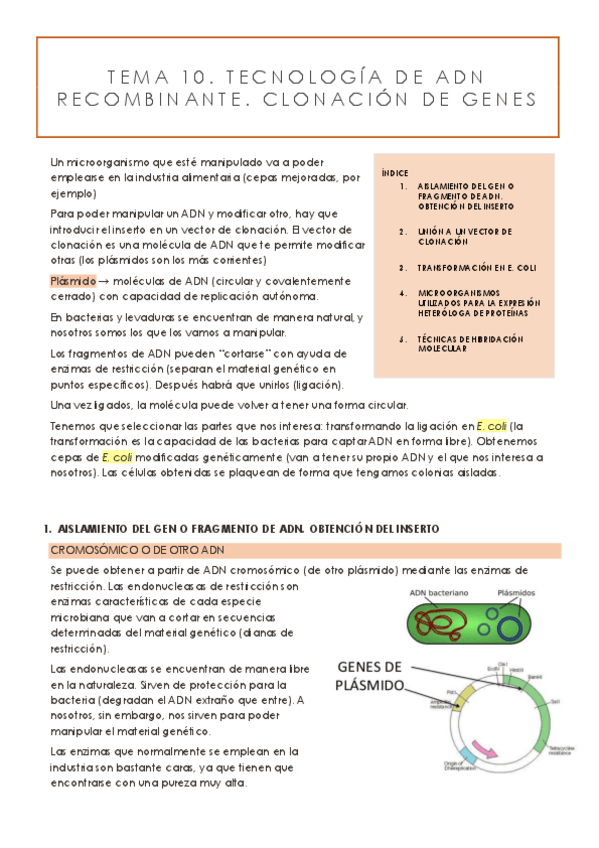 Miniatura del documento TEMA-10.pdf